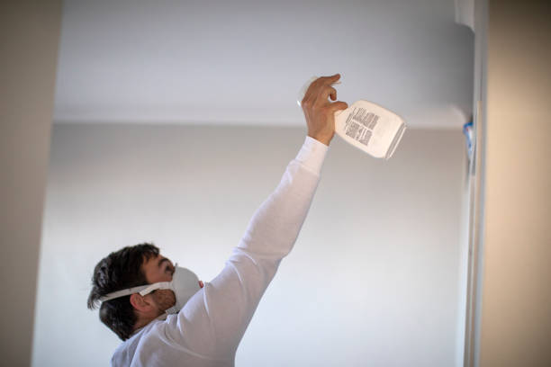 Best Home Mold Removal  in North Bend, NE