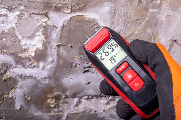 Best Mold Damage Repair  in North Bend, NE