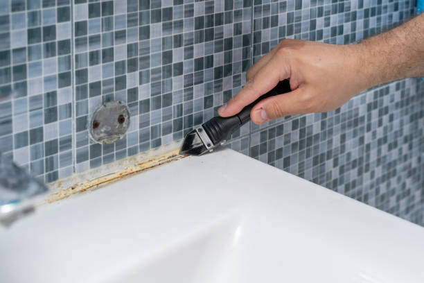 Certified Mold Removal in North Bend, NE